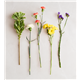 191770_alt2
